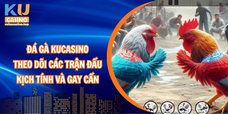 Đá Gà Kucasino – Theo dõi các trận đấu kịch tính và gay cấn