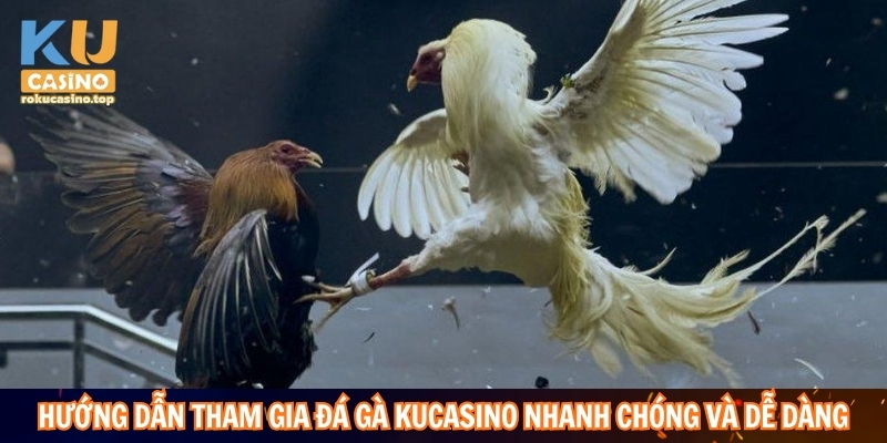Hướng dẫn tham gia đá gà Kucasino nhanh chóng và dễ dàng