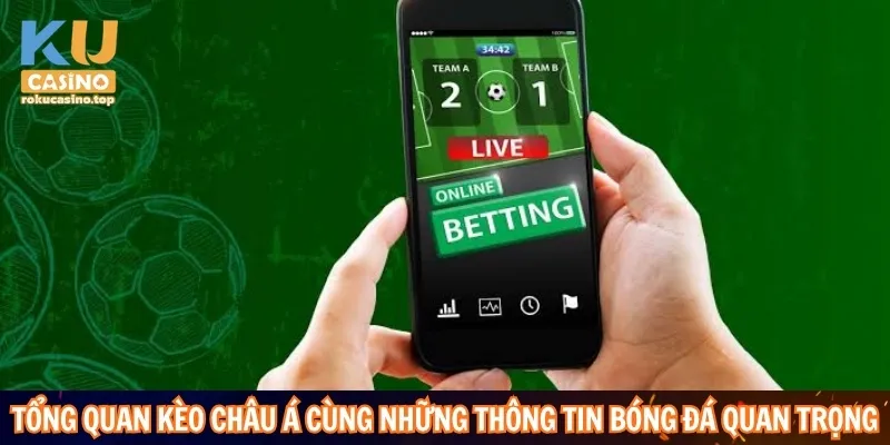 Tổng quan kèo Châu Á cùng những thông tin bóng đá quan trọng