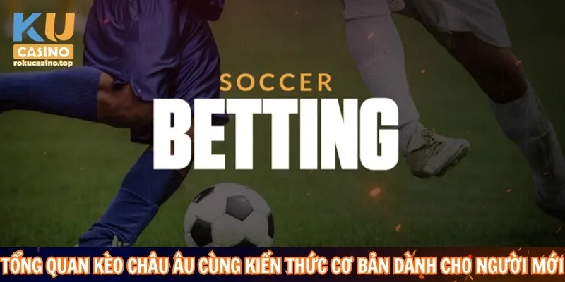 Tổng quan kèo Châu Âu cùng kiến thức cơ bản dành cho người mới